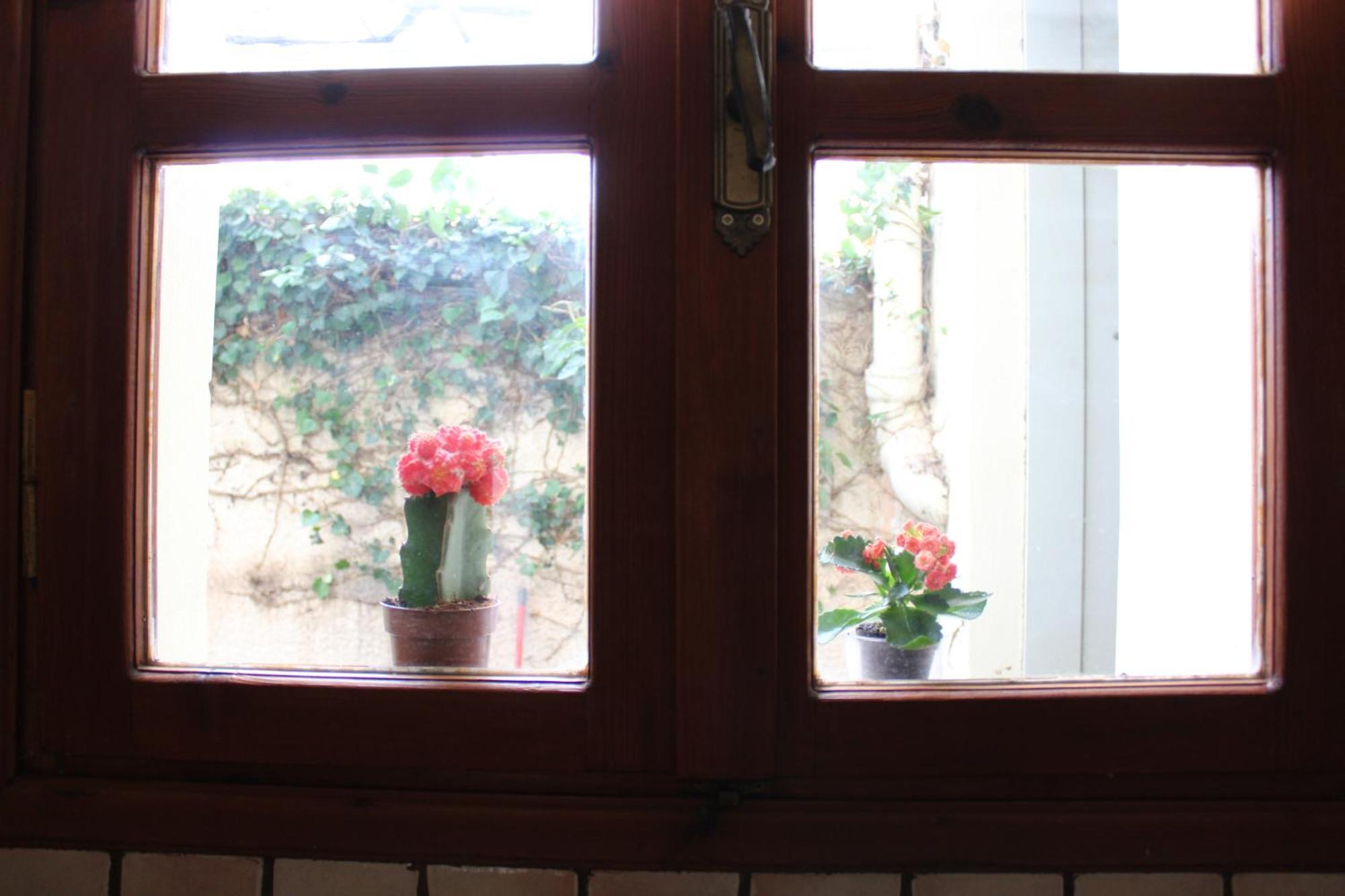 Felia Villa Stavros  Ngoại thất bức ảnh