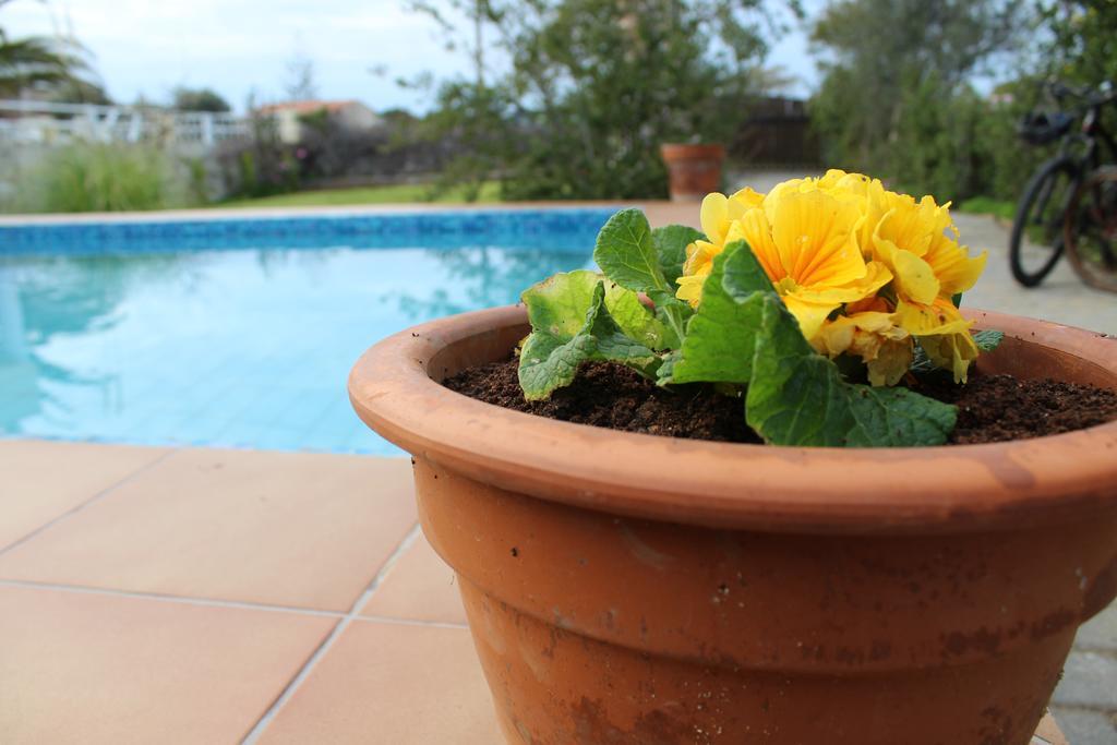 Felia Villa Stavros  Ngoại thất bức ảnh