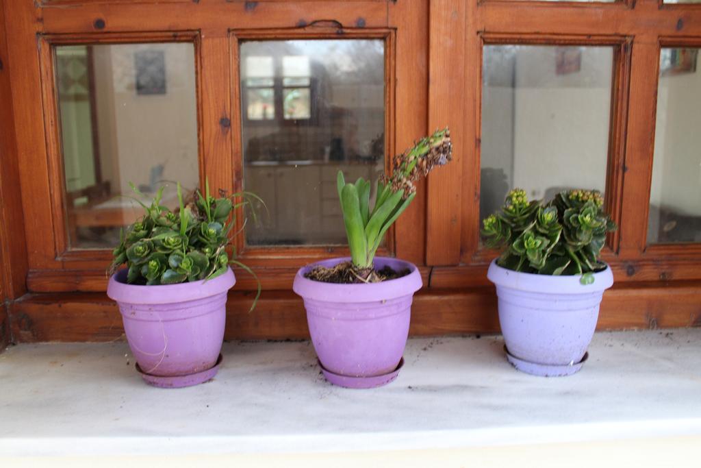 Felia Villa Stavros  Ngoại thất bức ảnh